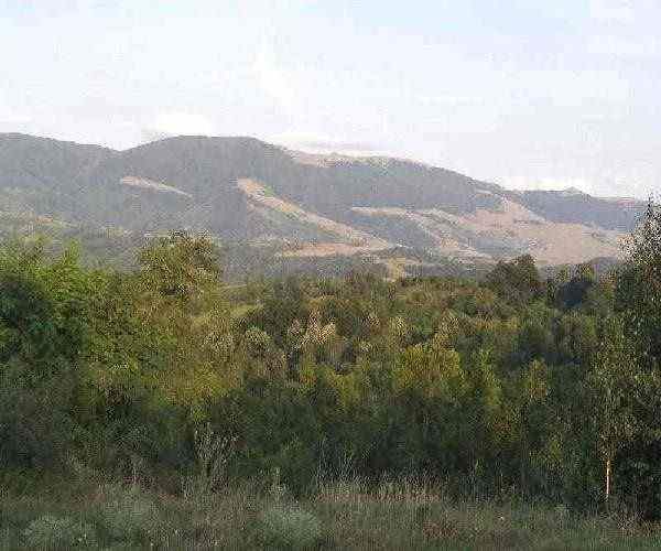 Muntii Cernei